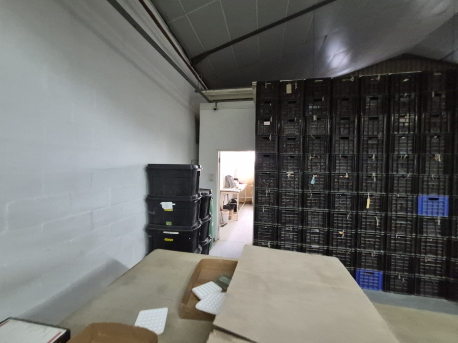 To Let Commercial Property for Rent in Gants Plaza Western Cape